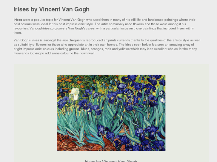 www.vangoghirises.org