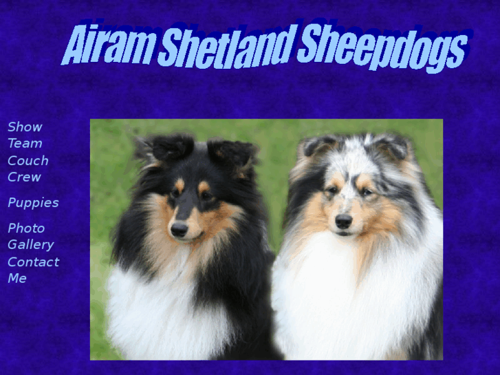 www.airamshelties.com