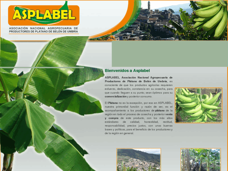 www.asplabel.com