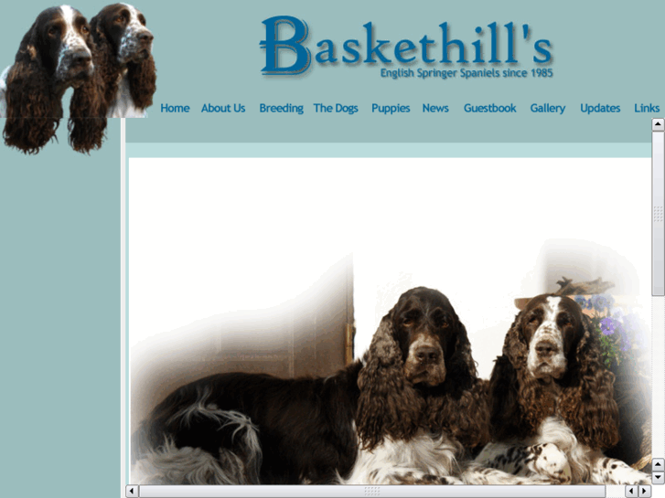 www.baskethills.com