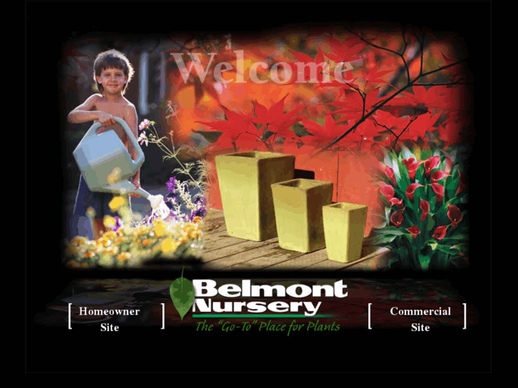 www.belmontnursery.com