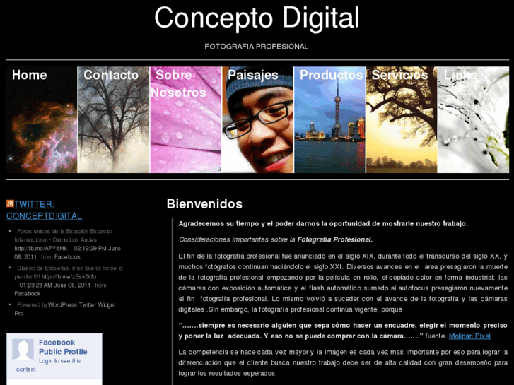 www.conceptodigital01.com