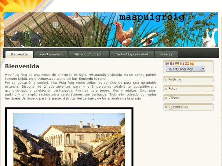 www.maspuigroig.com