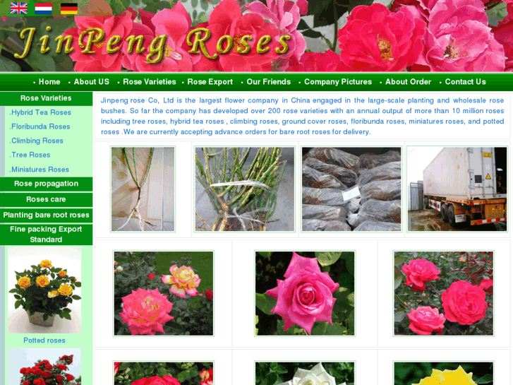 www.chinese-rose.net