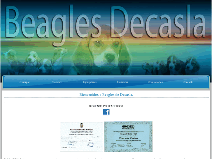 www.criaderodebeagle.com