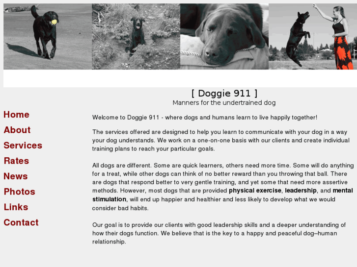 www.doggie911.com