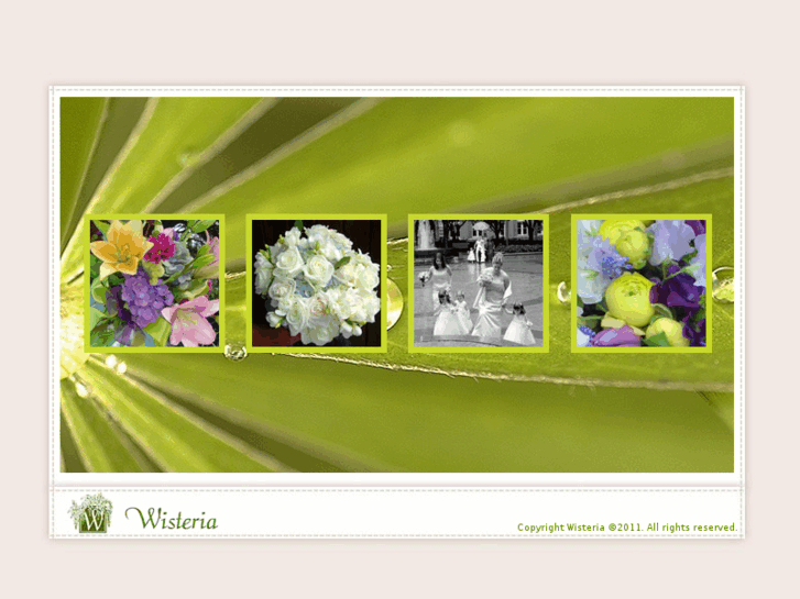 www.wisteriaflorals.com