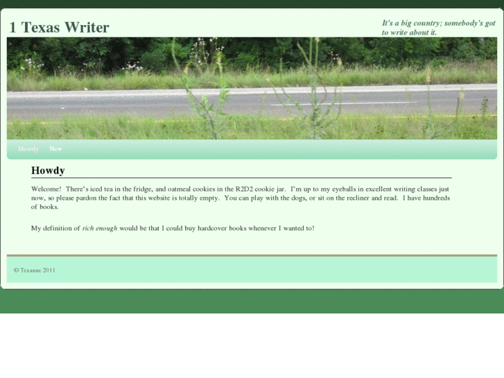 www.1texaswriter.com