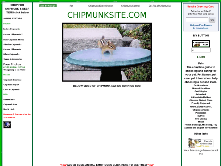 www.chipmunksite.com