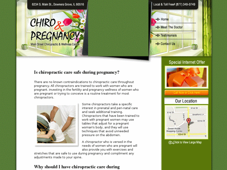 www.chirocare4yourpregnancy.com