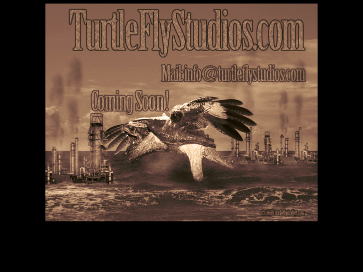www.turtleflystudios.net