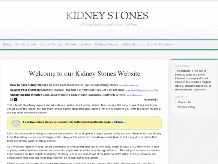 www.kidney-stones.net