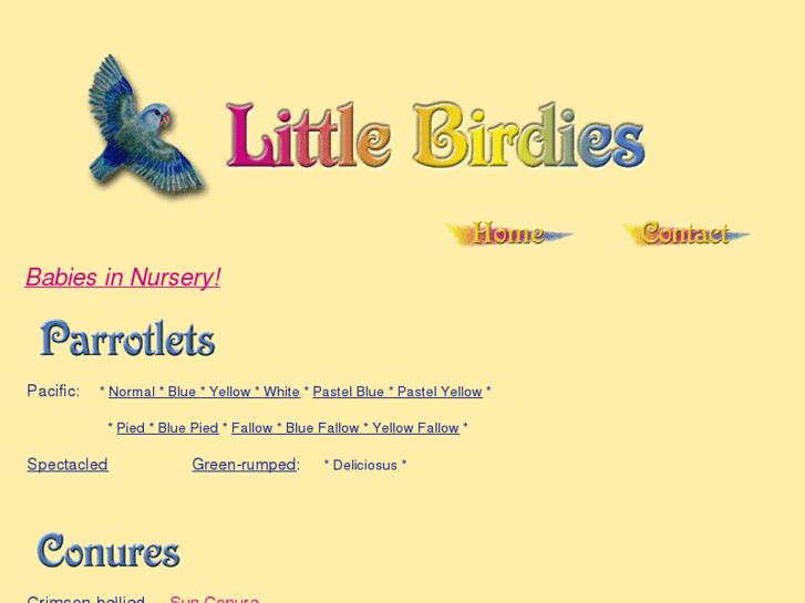 www.littlebirdies.com