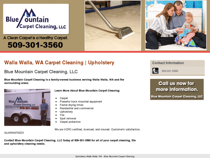 www.bluemountaincarpetcleaning.com