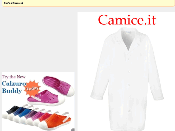 www.camice.it