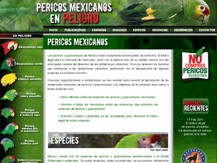 www.pericosmexico.org