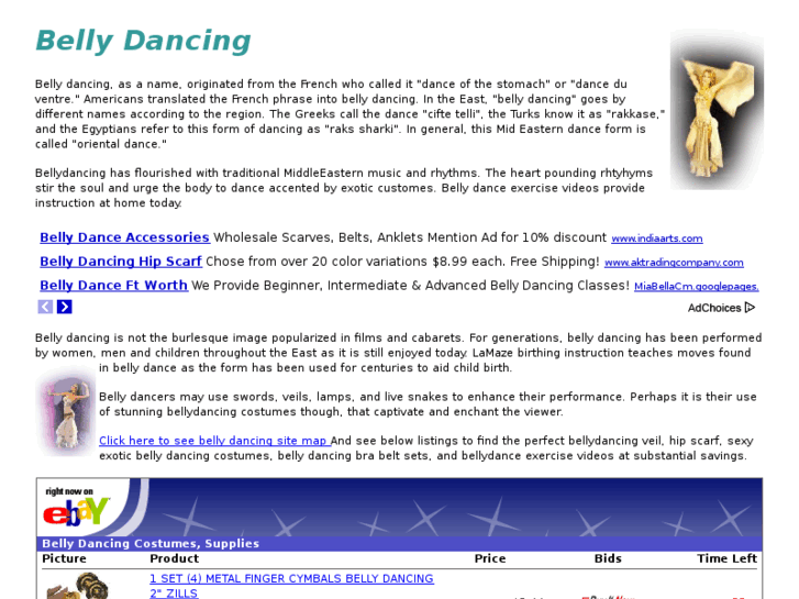 www.belly-dancing-bellydance.com