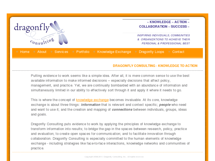 www.dragonflyconsulting.org