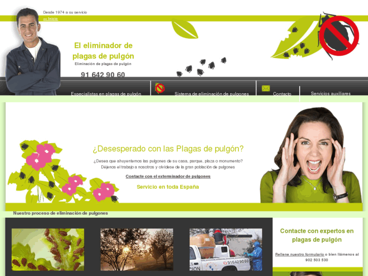 www.eliminacion-pulgones.es