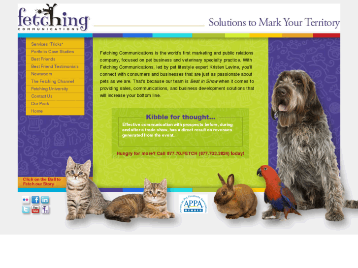 www.fetchingcommunications.com