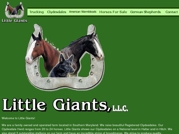 www.littlegiantsllc.com