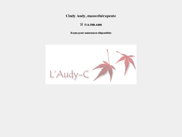 www.cindyaudy.com