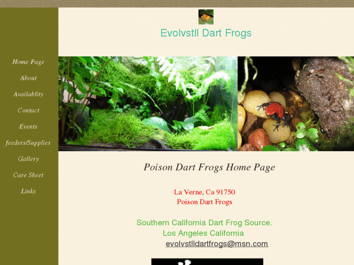 www.evolvstlldartfrogs.com