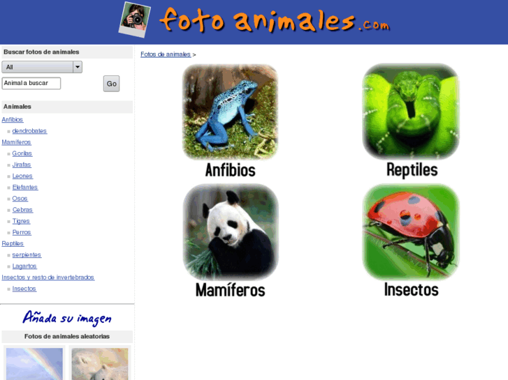 www.fotoanimales.com