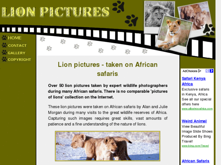 www.lion-pictures.net