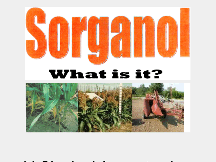 www.sorganol.com