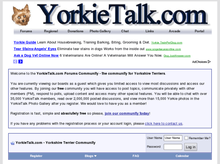 www.yorkietalk.com