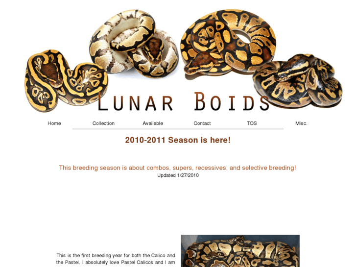 www.lunarboids.com