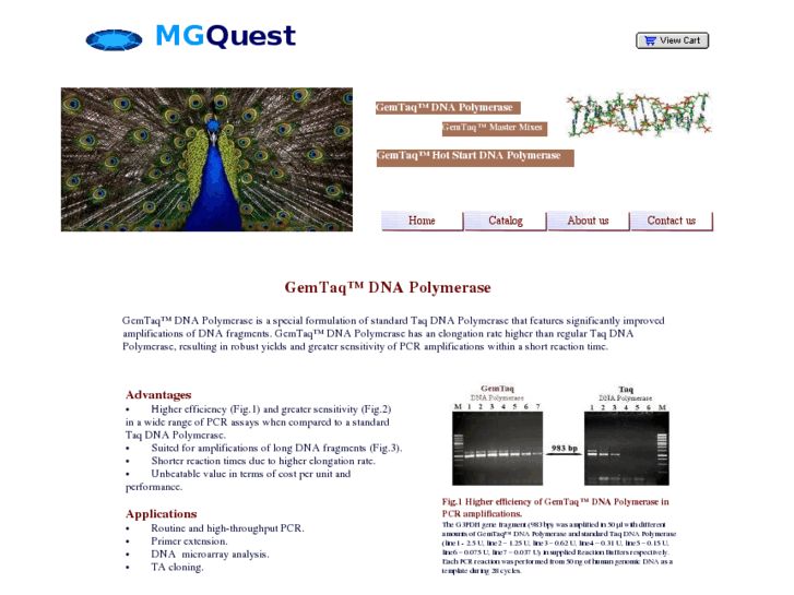 www.mgquest.com