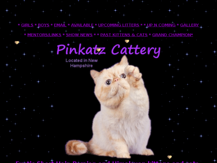 www.pinkatz.net