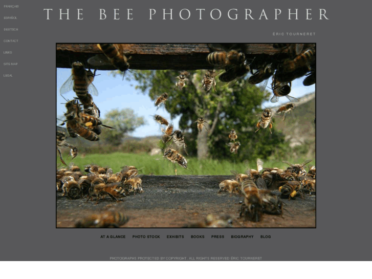 www.thebeephotographer.com