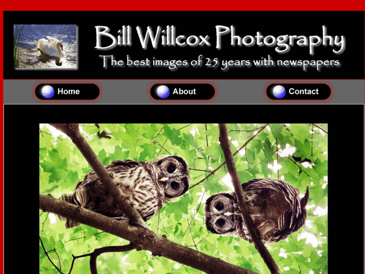 www.billwillcoxphotography.com