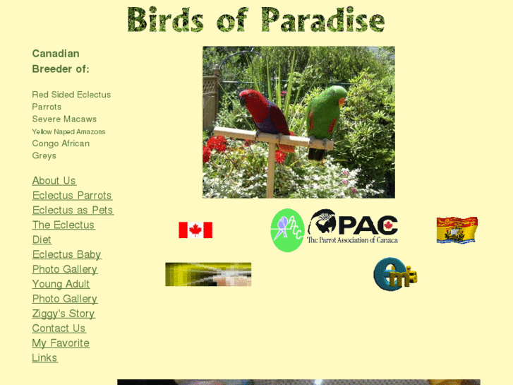 www.birdsofparadise.ca