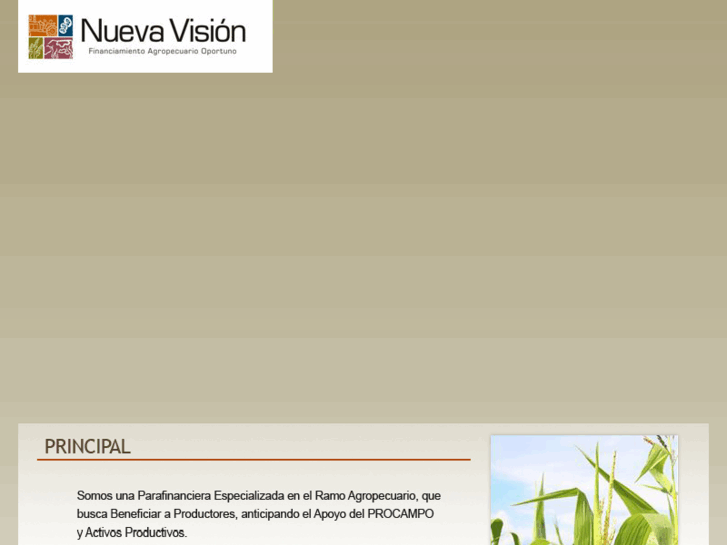 www.financieranuevavision.com