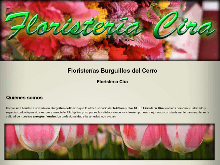 www.floristeriacira.com