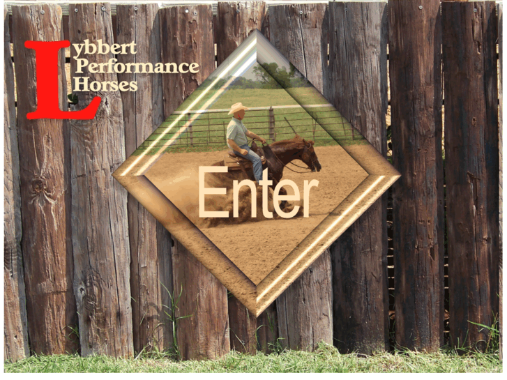 www.lybbertperformancehorses.com