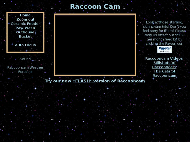 www.raccooncam.com