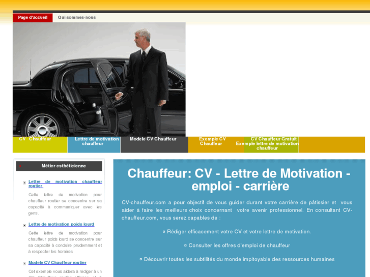 www.cv-chauffeur.com