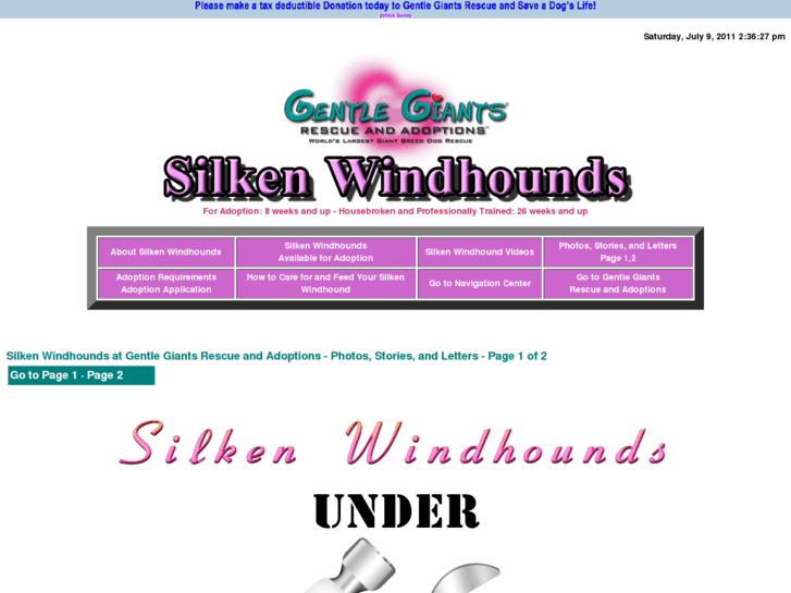 www.gentlegiantsrescue-silken-windhounds.com