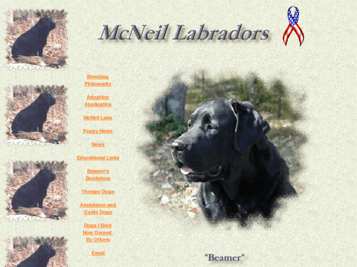 www.mcneillabradors.com