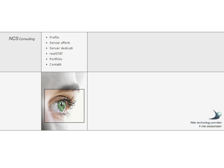 www.ncsconsulting.it