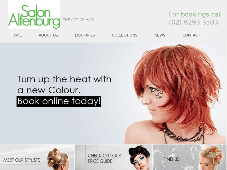 www.salonaltenburg.com