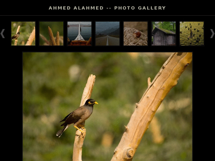 www.alahmed-gallery.com