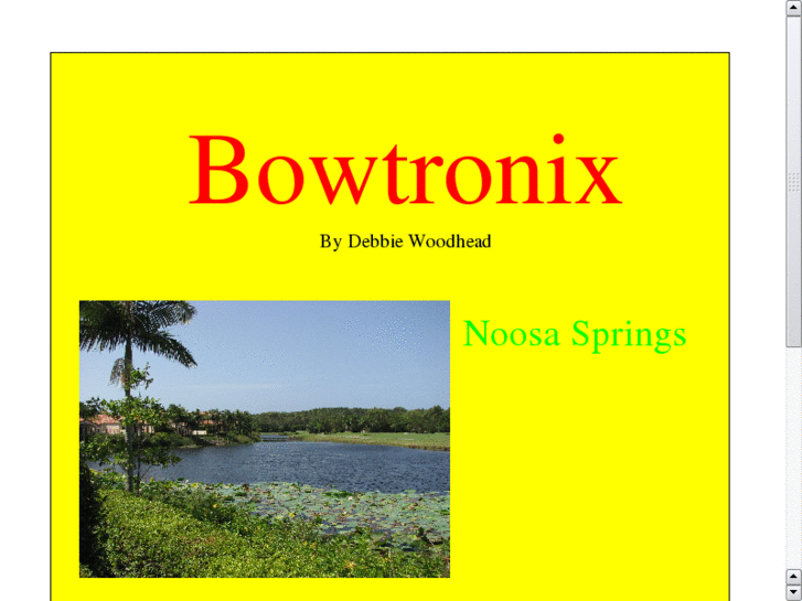 www.bowtronix.com
