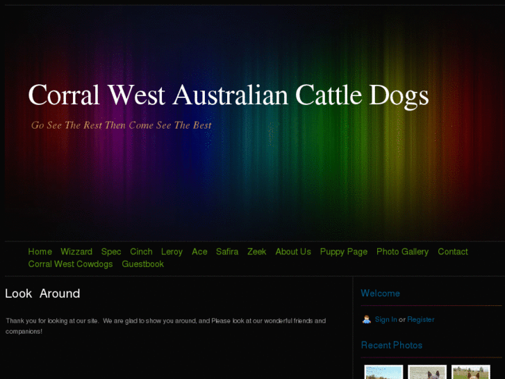 www.corralwestcattledogs.com