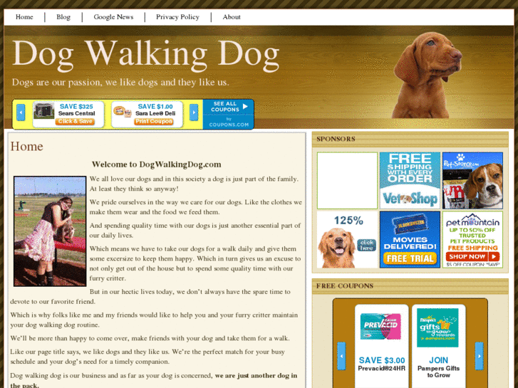 www.dogwalkingdog.com